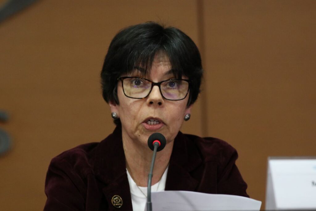 denúncias de assédio mercedes bustamante