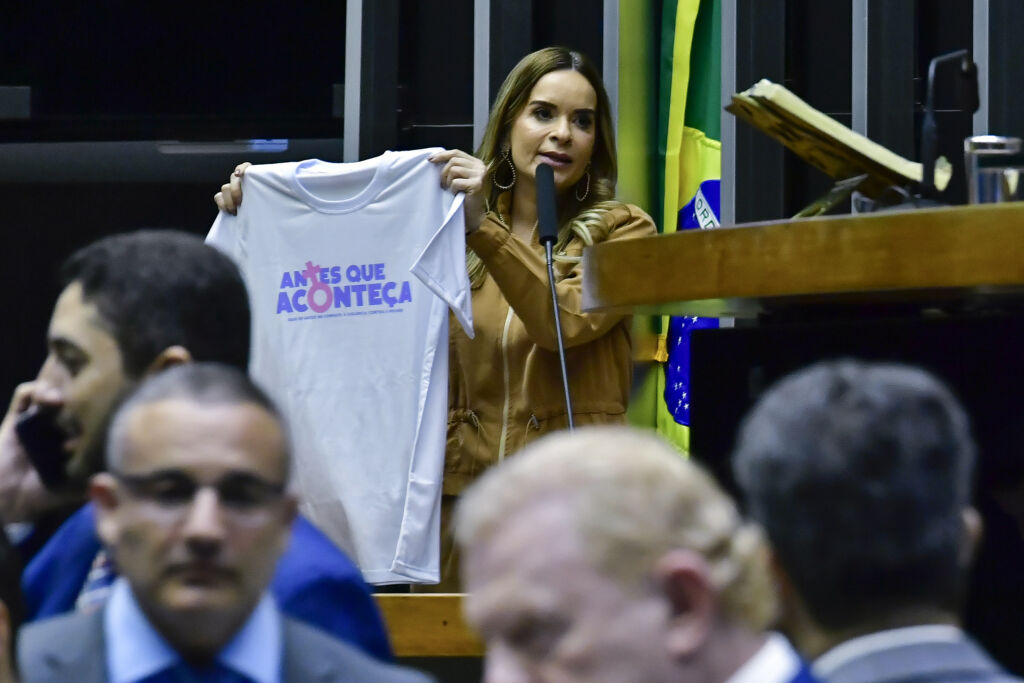 líder da bancada feminina no senado daniella ribeiro
