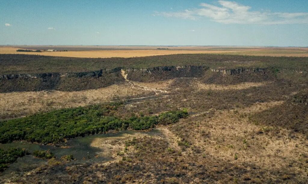 não florestal projeto permite desmatamento