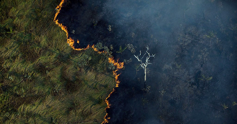 desmatamento Queimadas na Amazônia (Foto: Bruno Kelly/Amazônia Real)
