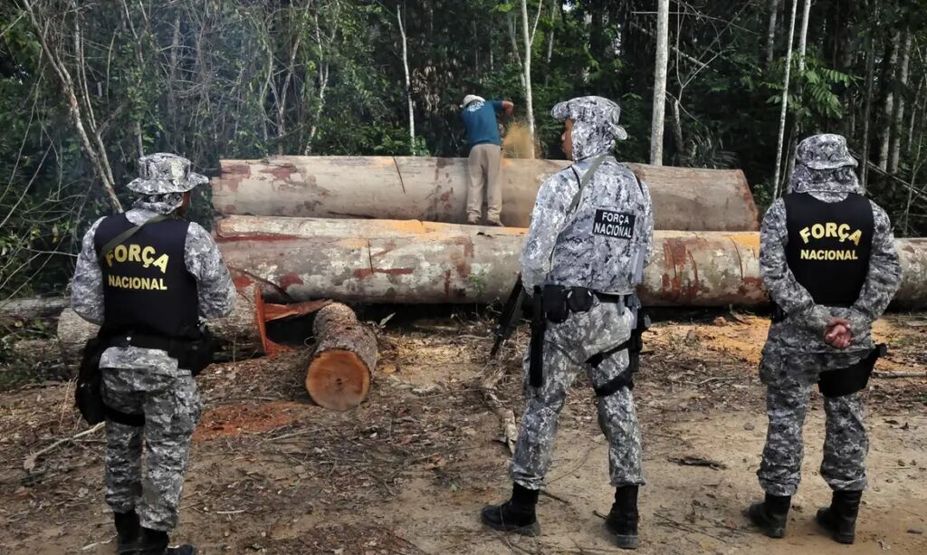 instituto igarapé crimes amazônia madeira