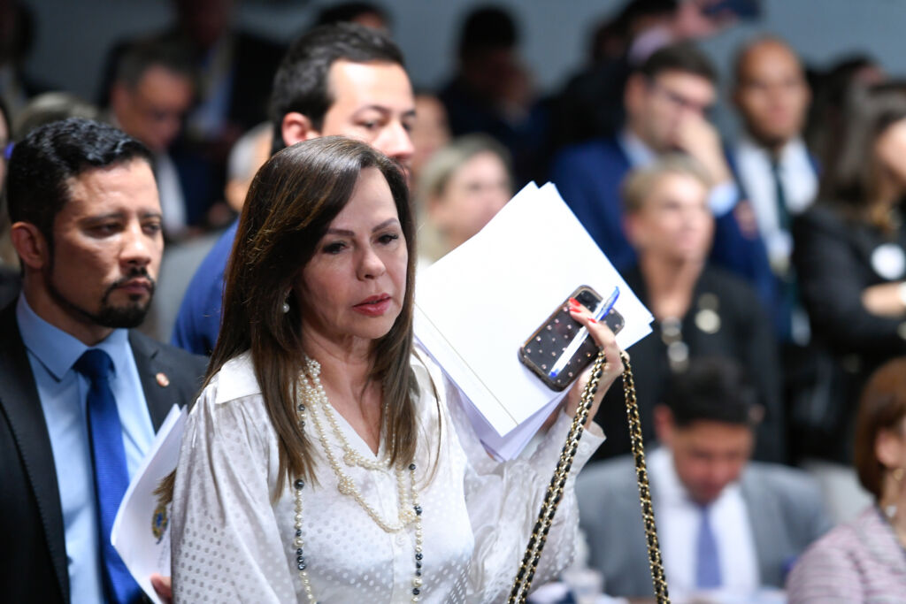 relatora novo ensino médio professora dorinha
