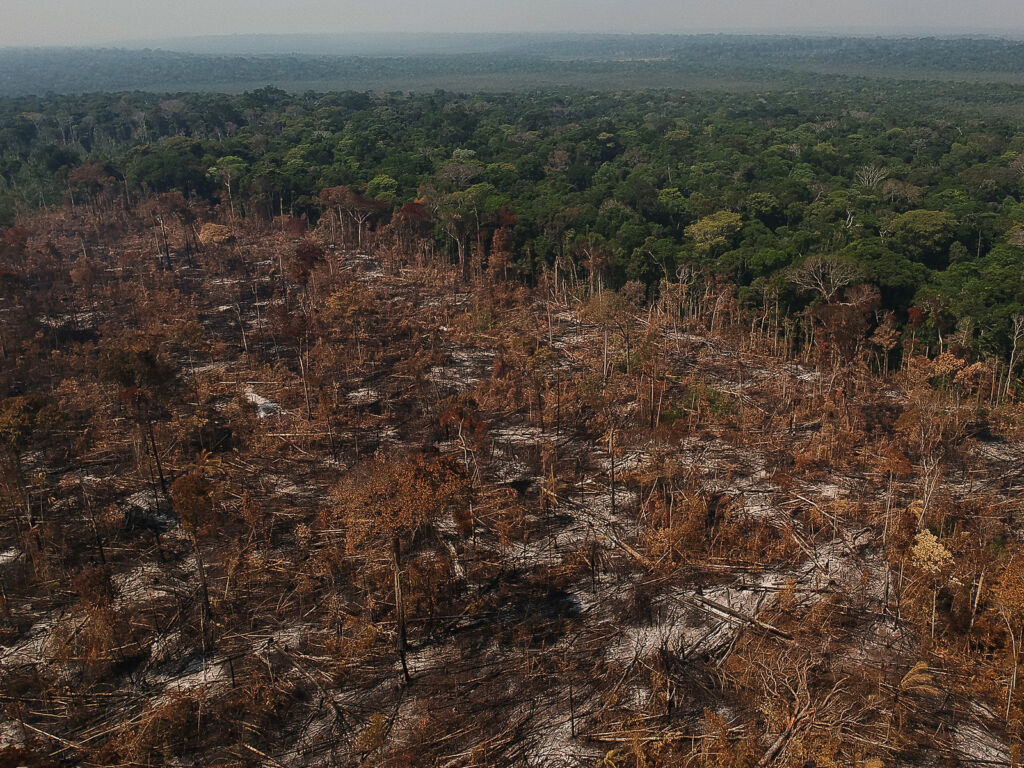 Área de desmatamento e queimada e vista as margens da rodovia BR 230 no município de Apuí, Amazonas. Foto: Bruno Kelly/Amazônia Real/09/08/2020