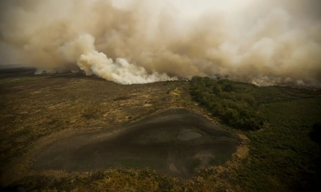 sala de situação incêndios amazônia pantanal