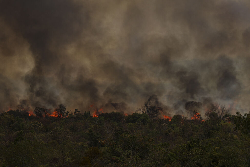 promessas PREJUÍZO AGRO INCÊNDIO FOGO MARINA SILVA