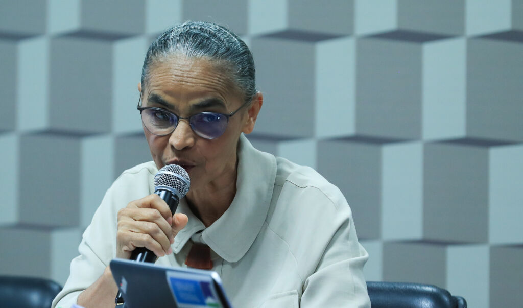 ilegalmente desmatadas marina silva