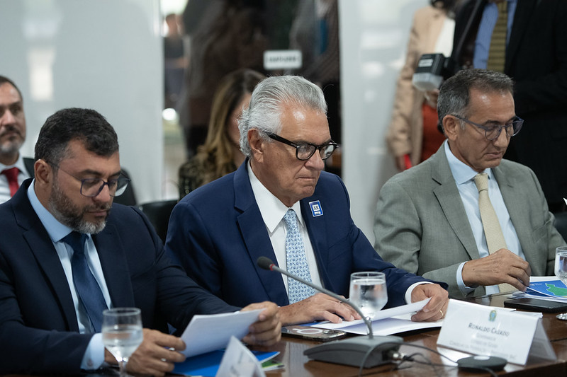 prejuízo queimadas caiado reunião brasília