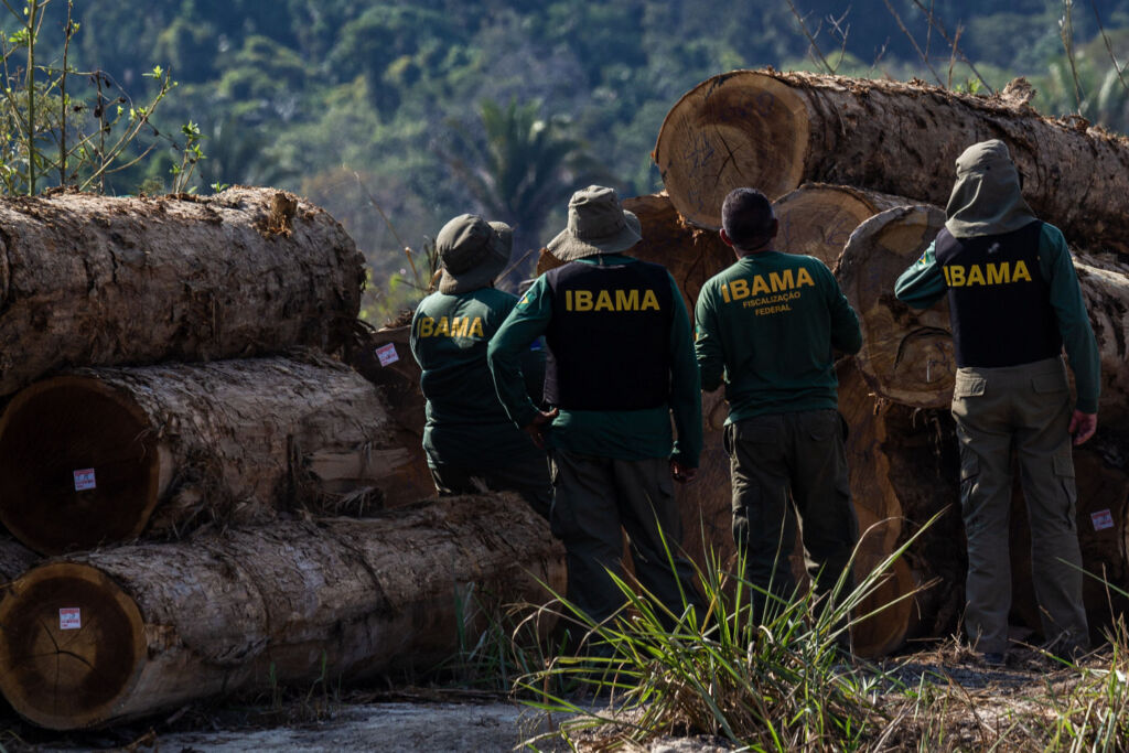 crime ambiental madeira ibama amazônia