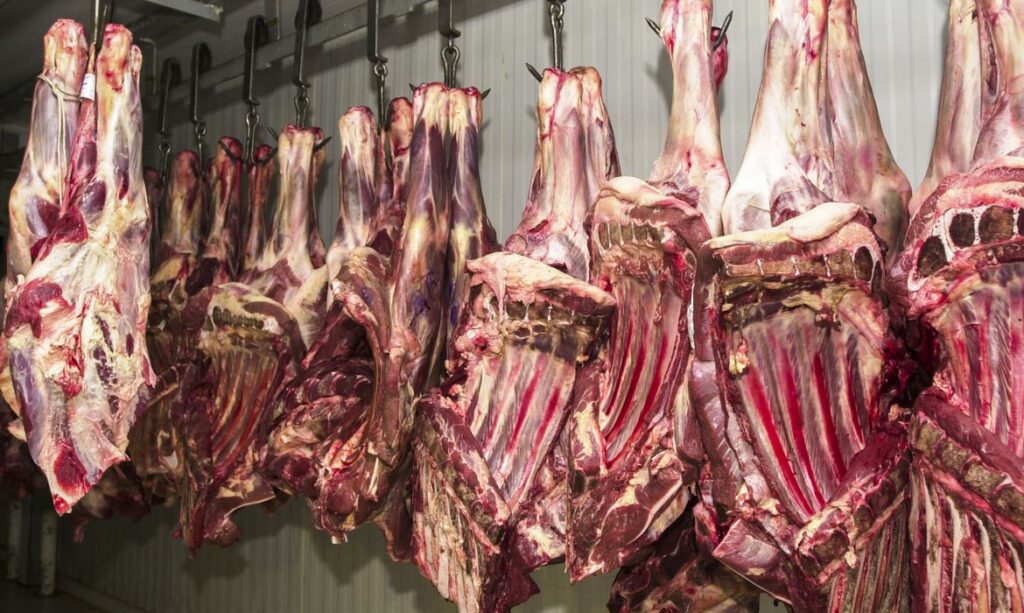 Carne brasileira no centro de polêmica com Carrefour (Foto: Marcello Casal Jr/Agência Brasil)
