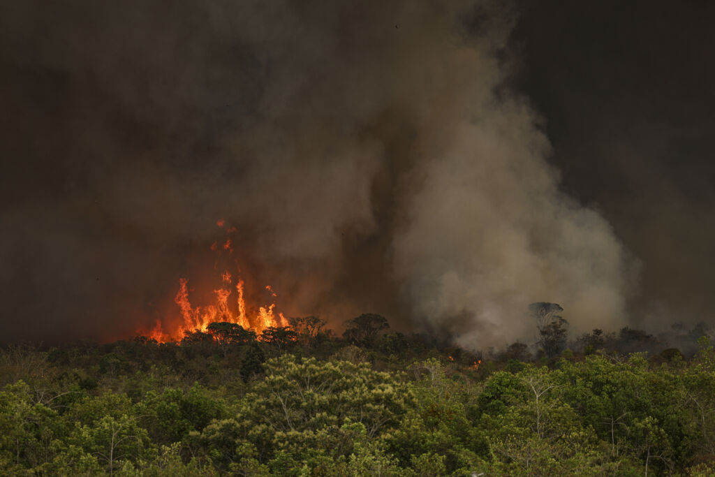 plano planaveg recuperação de vegetação nativa