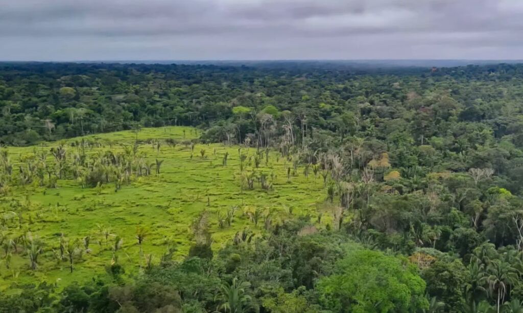 MATO GROSSO AMAZÔNIA