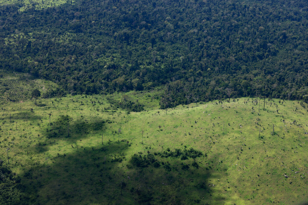 fazendas concessão de florestas amazônia