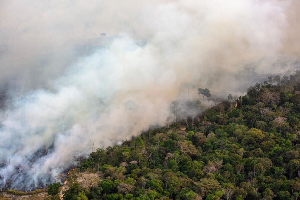 emergência ambiental queimadas