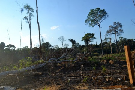 Desmatamento registrado em região próxima à Floresta Estadual do Antimary, no Acre (Foto: Beatriz Cabral/Inpe)