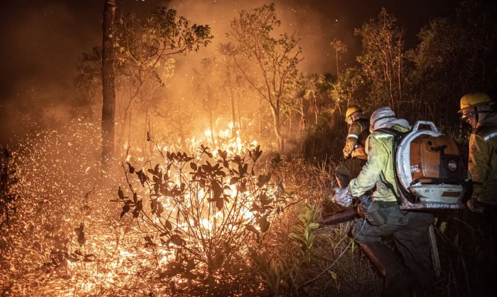 Incêndios florestais no Cerrado (Crédito: Mayangdi Inzaulgarat/Ibama)